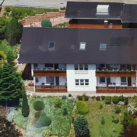 Ferienwohnung Treyer Oppenau Dış mekan fotoğraf